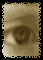 Eylook.gif (13401 ֽ)