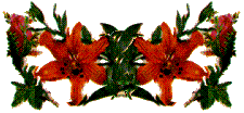 Flow06.gif (9731 ֽ)